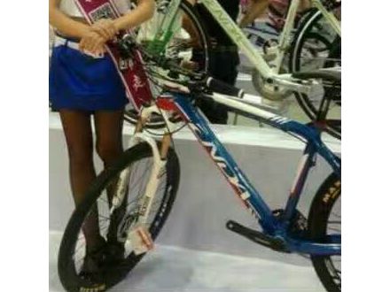 自行車配件行業(yè)